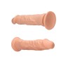 Consolador Dong Without Testicles 25 cm - photo 4