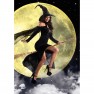 Disfraz de Bruja Malvada - photo 2
