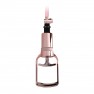 Bomba Vaginal Pussy Pump Rose Gold - photo 3