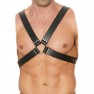 Arnés Buckle - photo 0