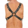 Arnés Buckle - photo 1
