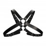 Arnés Buckle - photo 3
