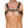 Arnés Chest Bulldog - photo 0