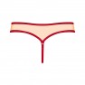 Tanga Rubinesa - photo 6