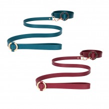 Collar con correa Halo