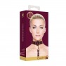 Collar con correa Halo - photo 4
