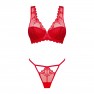 Conjunto Lonesia - photo 4