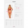 Conjunto Lonesia - photo 6