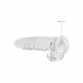 Consolador con Testículos Crystal Clear 22 cm - photo 4