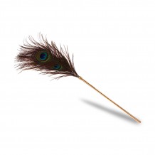 Plumero Peacock Tickler Dona
