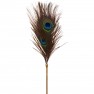 Plumero Peacock Tickler Dona - photo 3