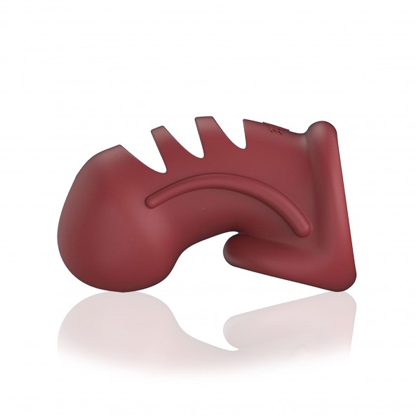 Foto del producto 4